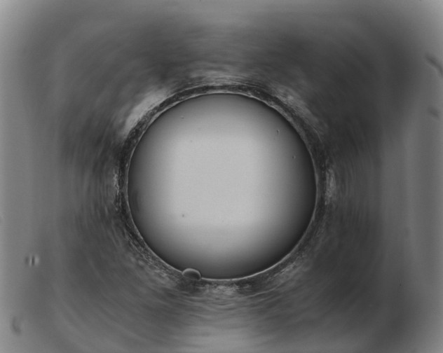 X0000103481261200809191850