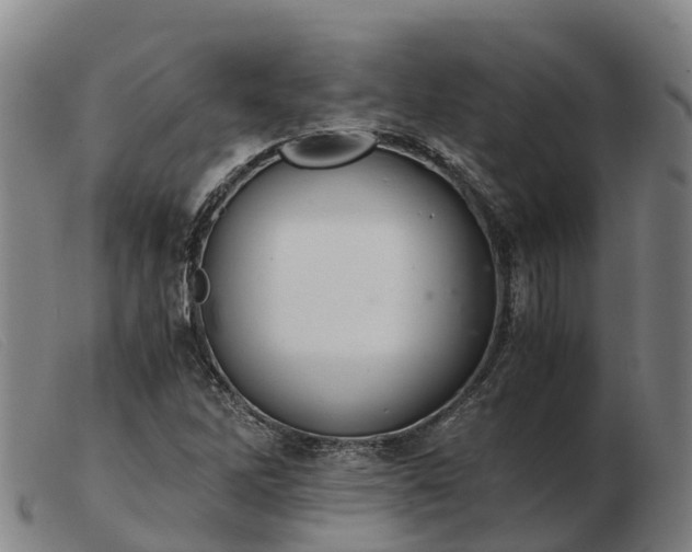 X0000103481262200809191850