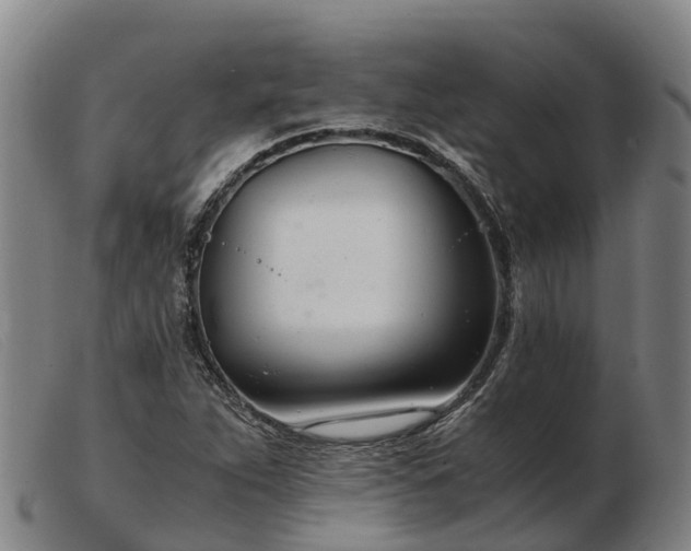 X0000103481263200809191850