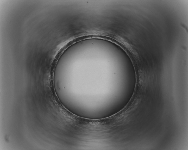 X0000103481264200809191850