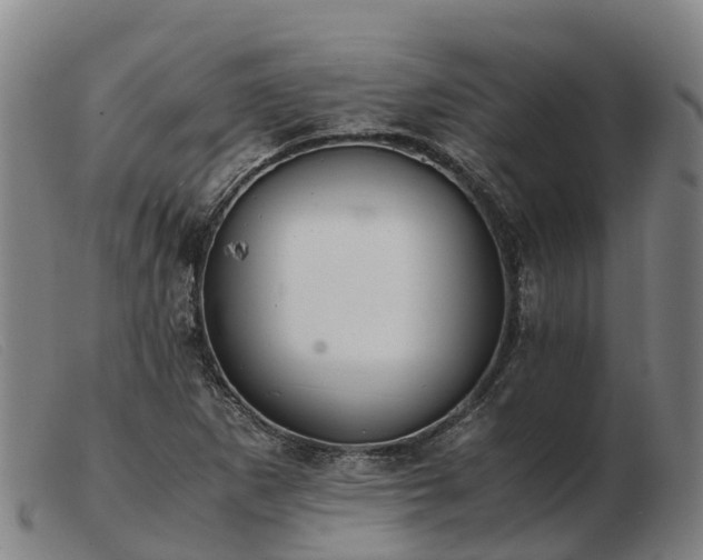 X0000103481265200809191850