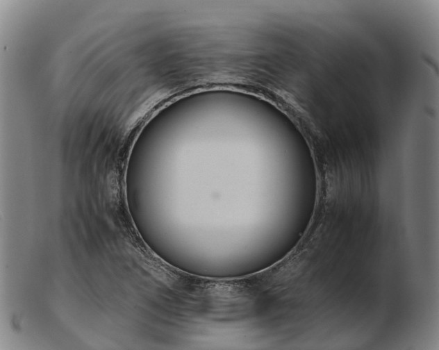 X0000103481266200809191850