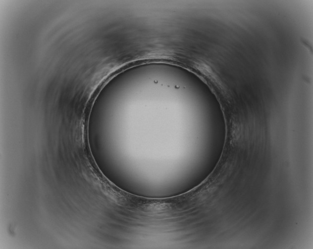 X0000103481268200809191850