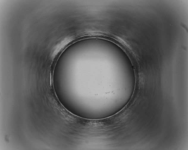 X0000103481269200809191850
