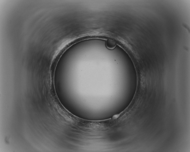 X0000103481270200809191850