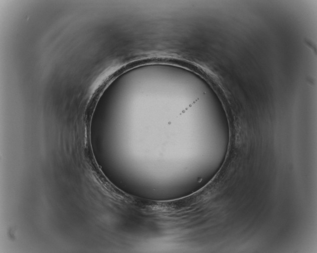 X0000103481271200809191850