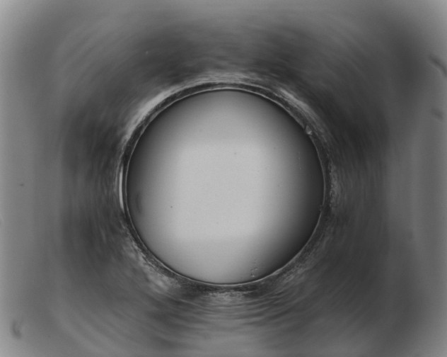 X0000103481272200809191850