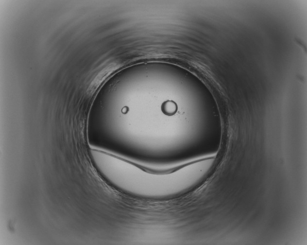 X0000103481273200809191850