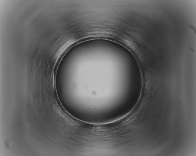 X0000103481275200809191850