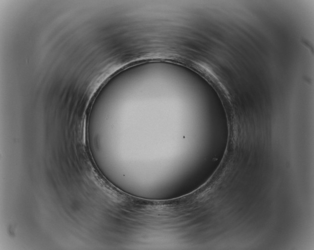 X0000103481276200809191850