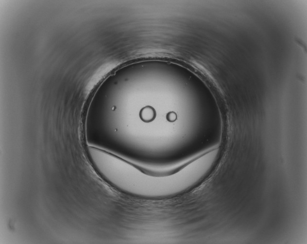 X0000103481277200809191850