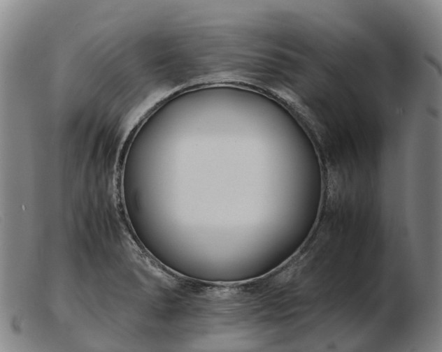 X0000103481278200809191850