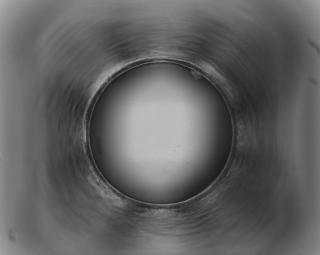 X0000103481280200809191850