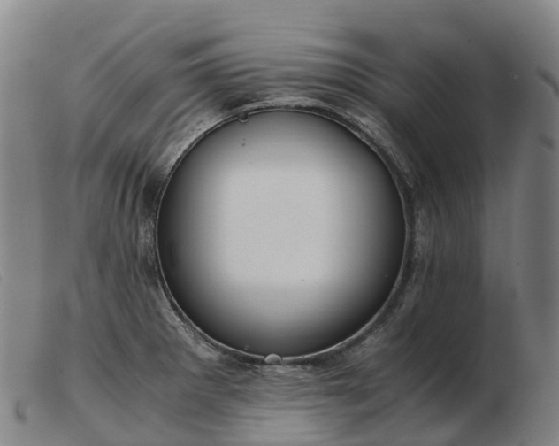 X0000103481281200809191850