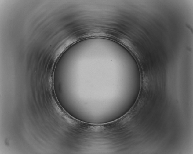 X0000103481282200809191850