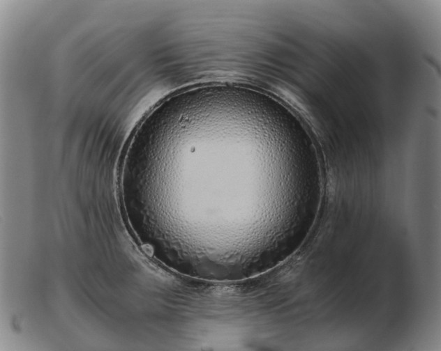 X0000103481283200809191850