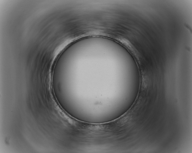 X0000103481286200809191850