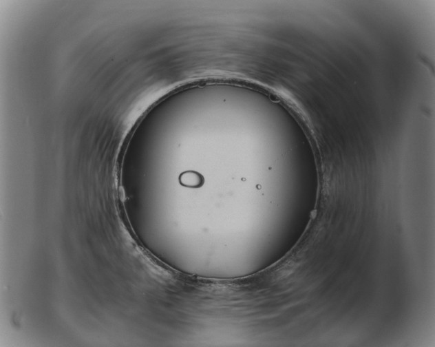 X0000103481287200809191850