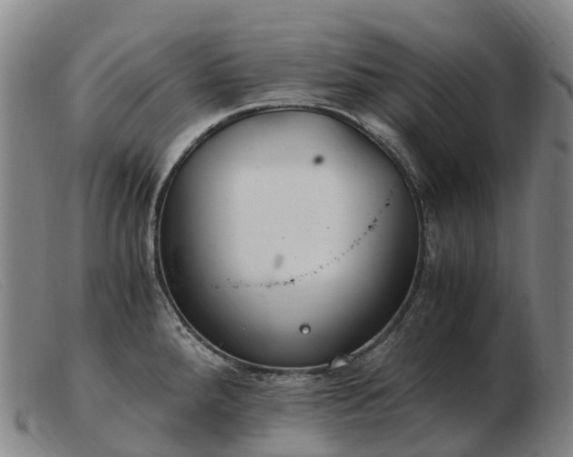 X0000103481288200809191850