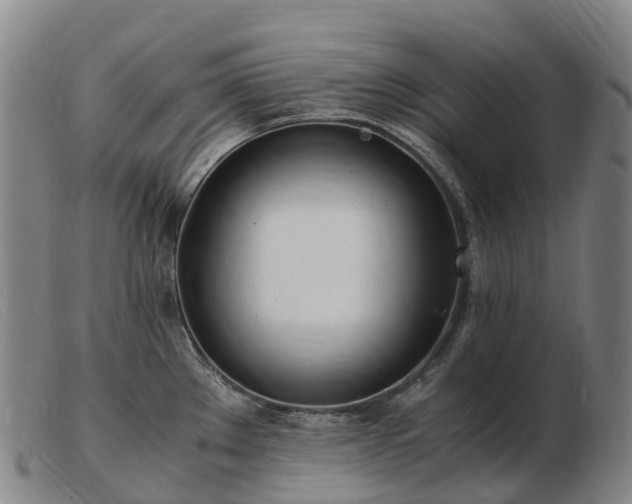 X0000103481289200809191850