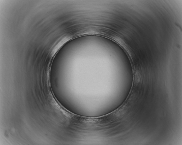 X0000103481290200809191850