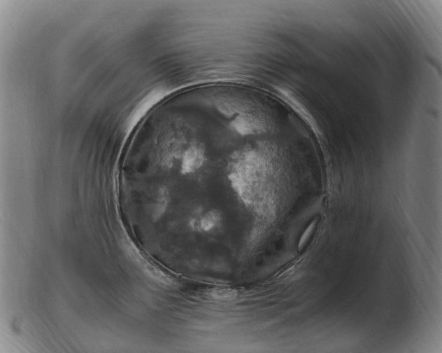 X0000103481291200809191850