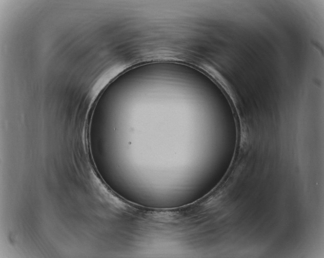 X0000103481293200809191850