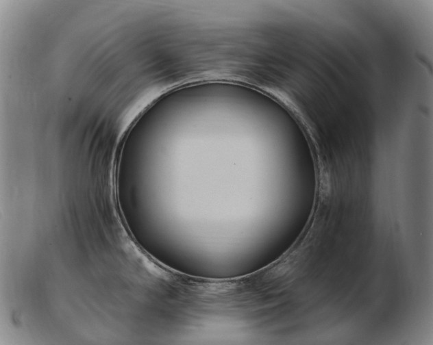X0000103481294200809191850