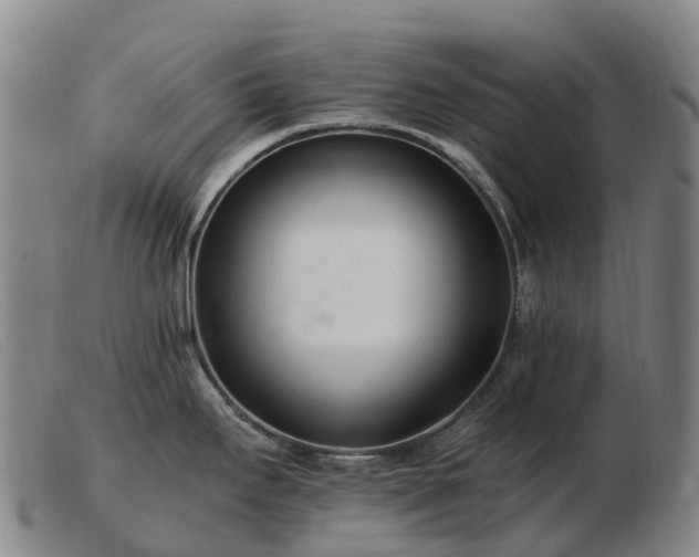 X0000103481295200809191850