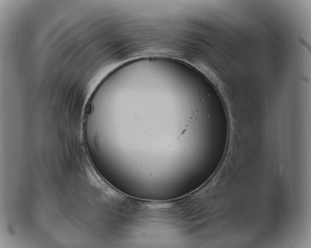 X0000103481296200809191850