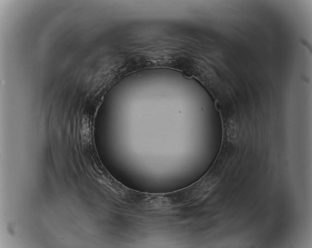 X0000103481298200809191849