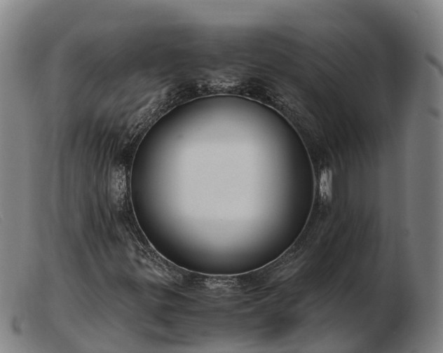 X0000103481299200809191849