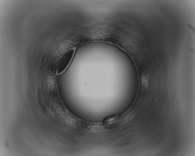 X0000103481300200809191849