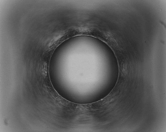 X0000103481301200809191849