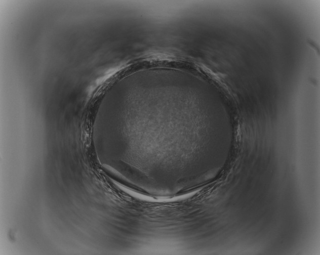 X0000103481303200809191849
