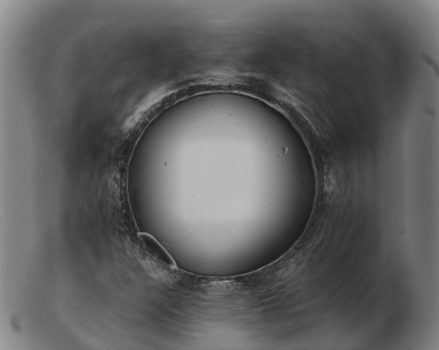 X0000103481304200809191849