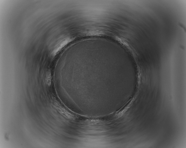 X0000103481306200809191849