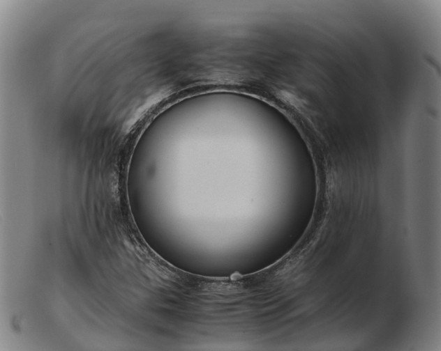 X0000103481307200809191849