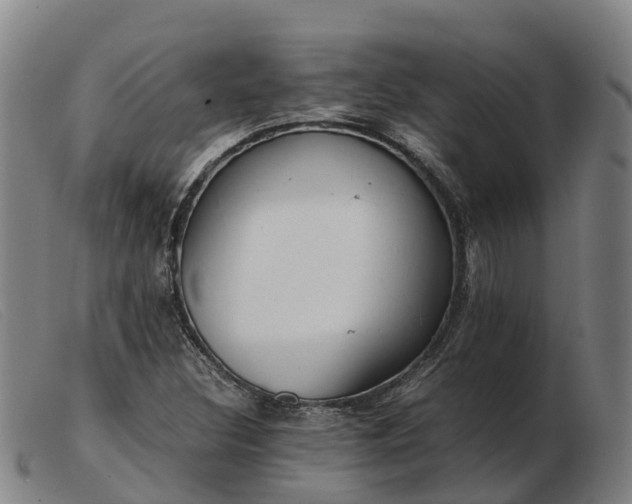 X0000103481308200809191849