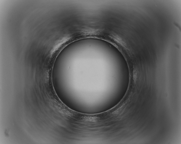 X0000103481309200809191849