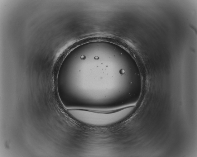 X0000103481310200809191849