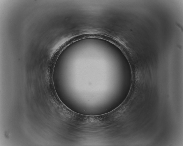 X0000103481311200809191849