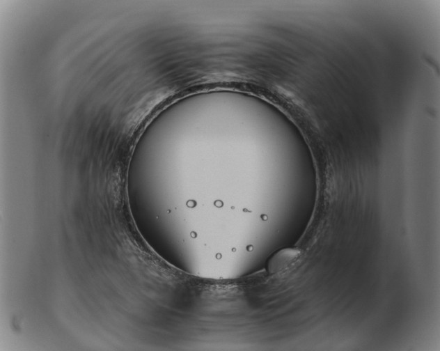 X0000103481313200809191849