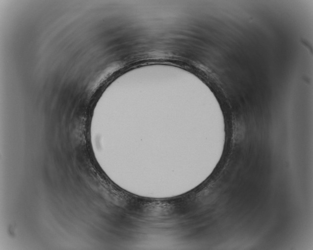 X0000103481314200809191849