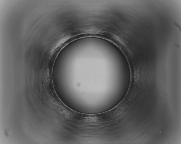 X0000103481315200809191849