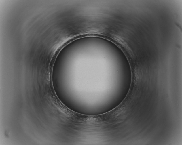 X0000103481316200809191849