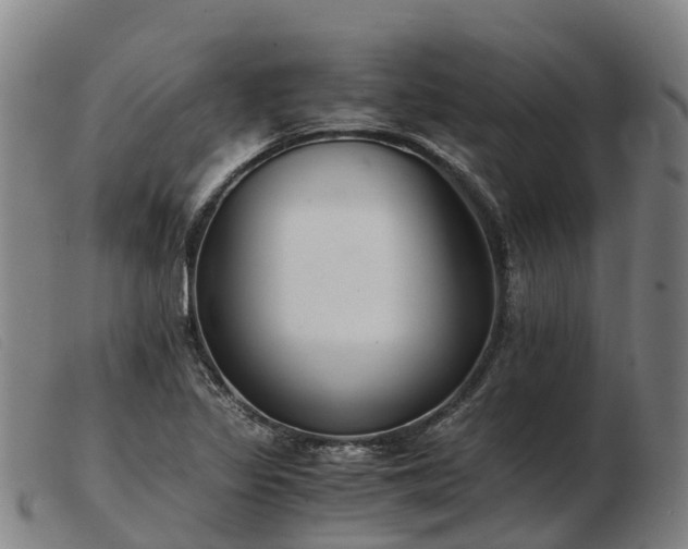X0000103481317200809191850