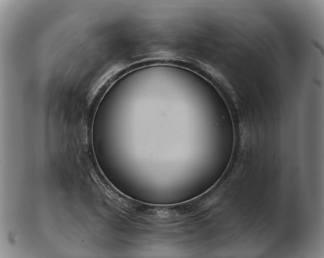 X0000103481318200809191850