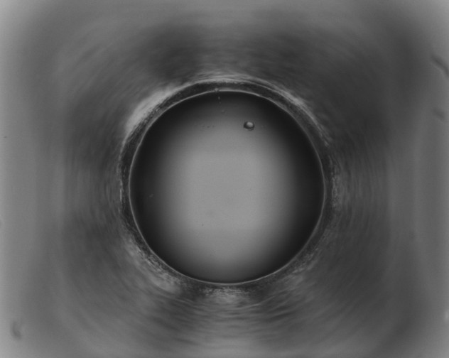 X0000103481319200809191850