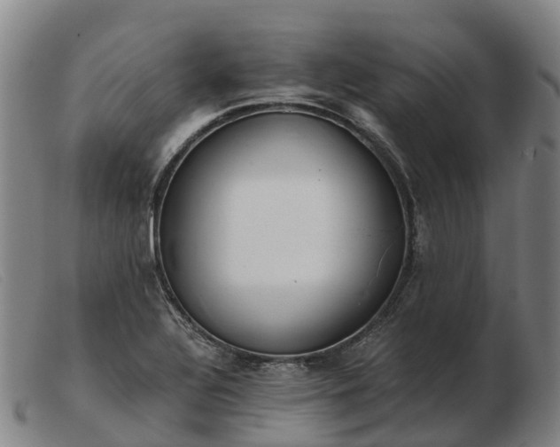 X0000103481320200809191850
